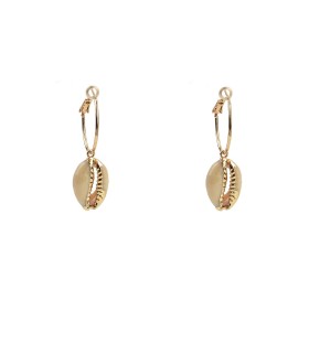 Natural sea shell hoop earrings